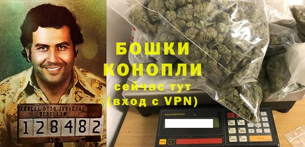 сатива Армянск