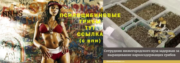 метадон Медвежьегорск