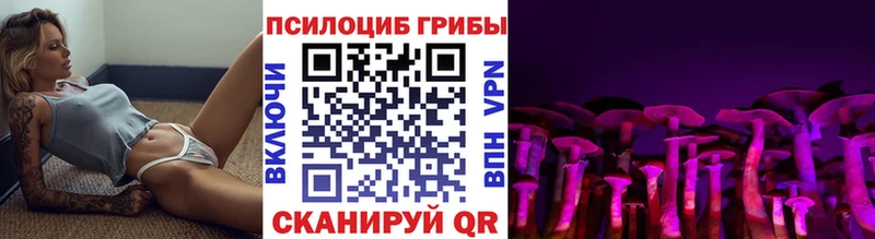 Галлюциногенные грибы Cubensis Черкесск