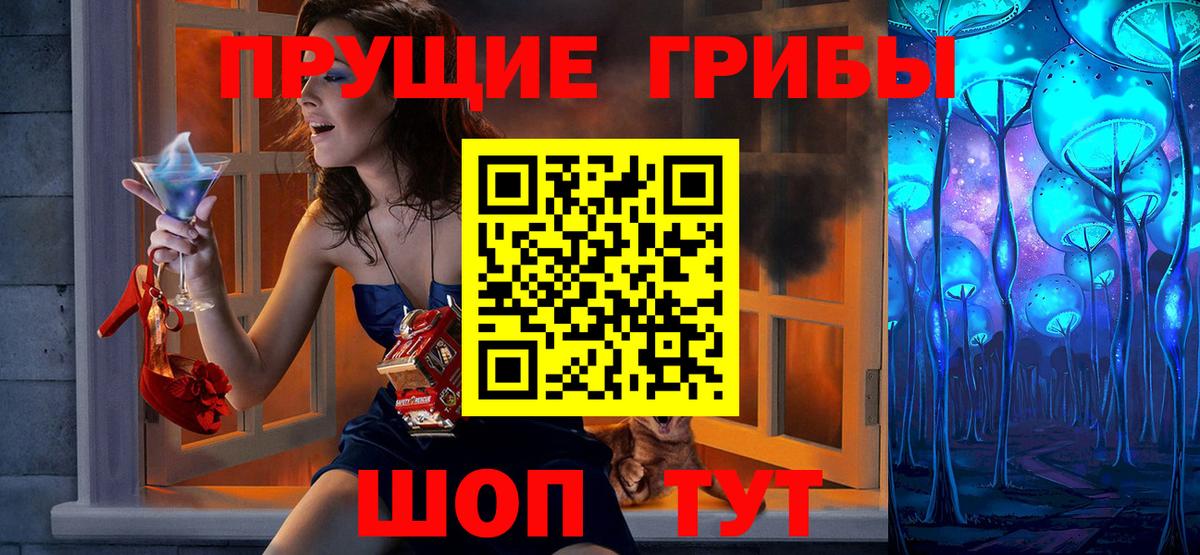 Галлюциногенные грибы Psilocybe Черкесск