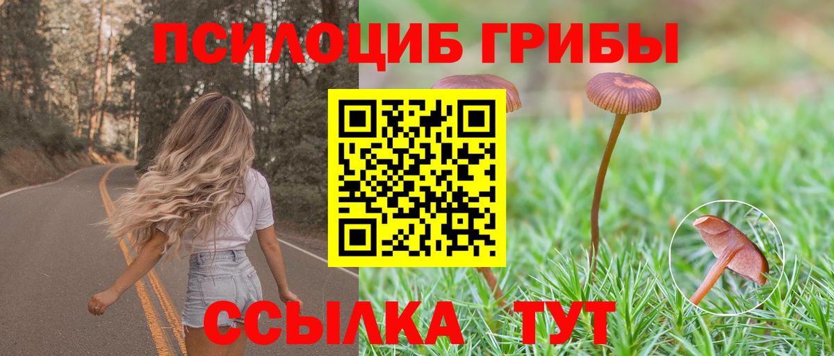 Псилоцибиновые грибы MAGIC MUSHROOMS  Вход с VPN  Черкесск 