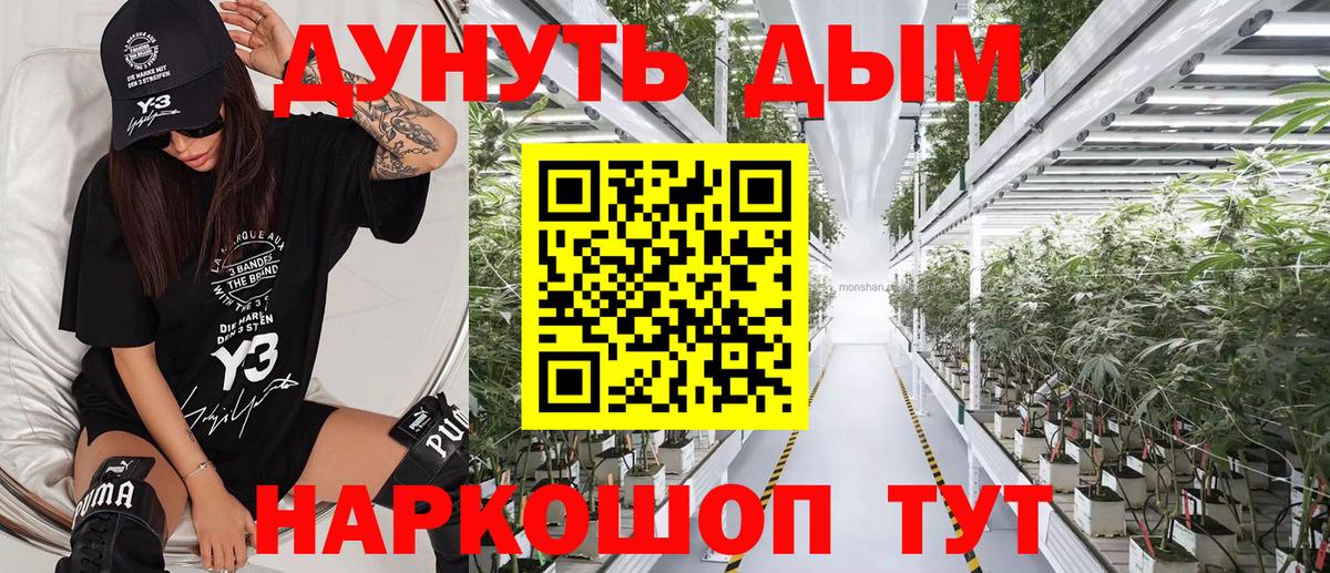Каннабис семена Черкесск